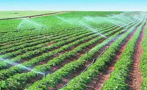 美女逼被打出水农田高 效节水灌溉